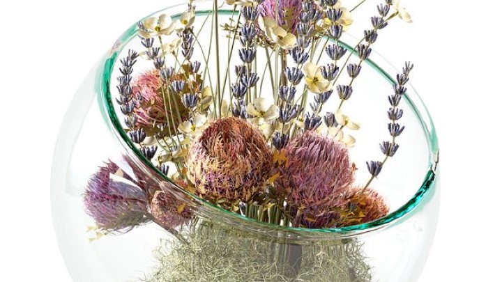 渲染模型_室内插花017