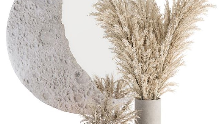 渲染模型_室内插花023