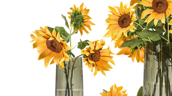 渲染模型_室内插花030