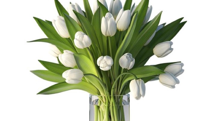 渲染模型_室内插花031