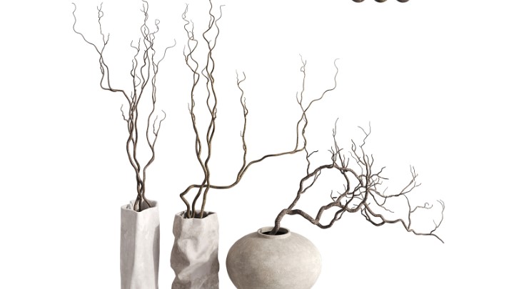 渲染模型_室内插花植物020