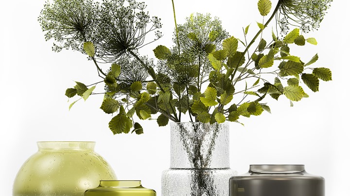 渲染模型_室内植物209