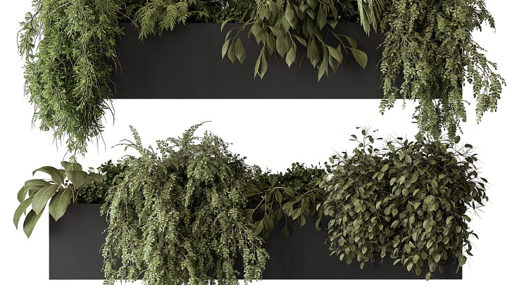 渲染模型_室内植物211