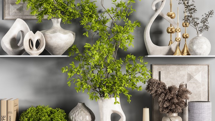 渲染模型_室内植物212