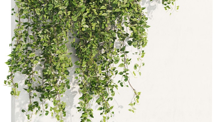 渲染模型_室内植物214