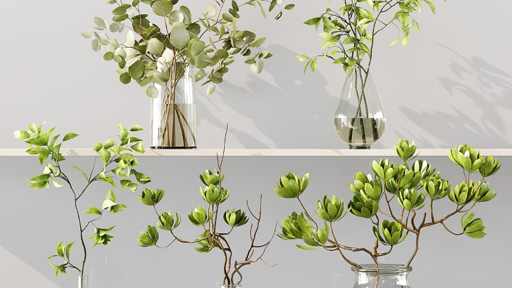 渲染模型_室内植物216