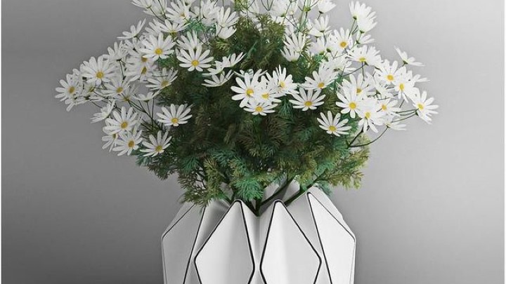 渲染模型_室内植物227