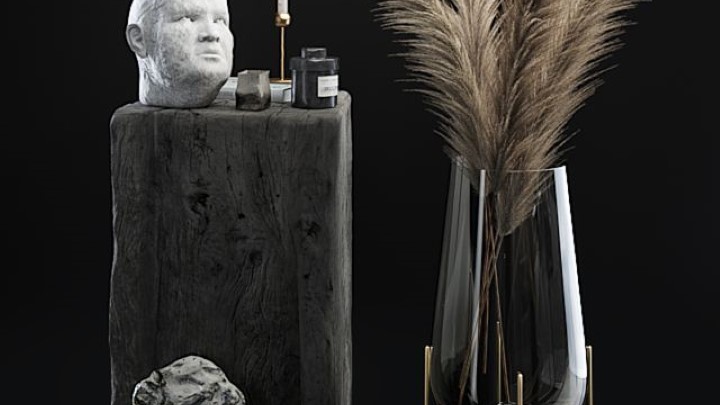 渲染模型_室内植物230