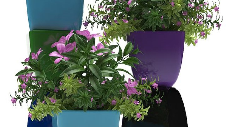 渲染模型_室内植物248