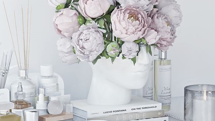 渲染模型_室内植物253