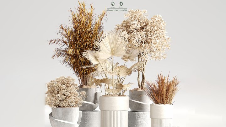 渲染模型_室内植物270