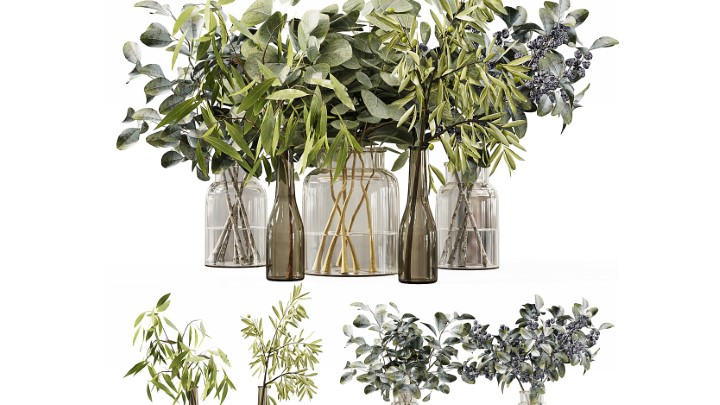 渲染模型_室内植物281