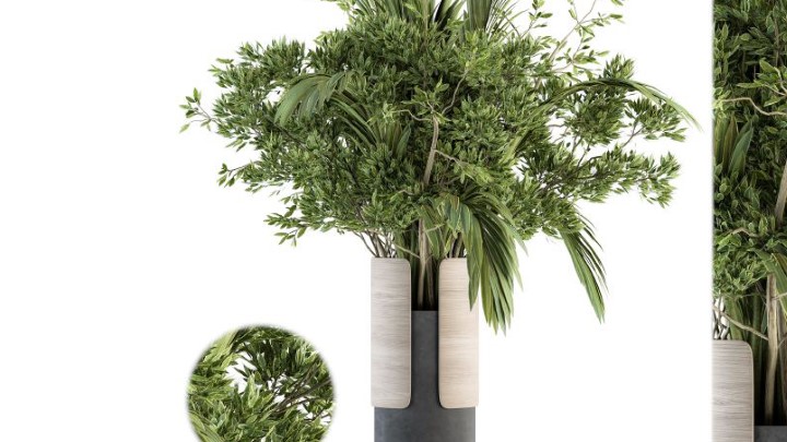 渲染模型_室内植物286