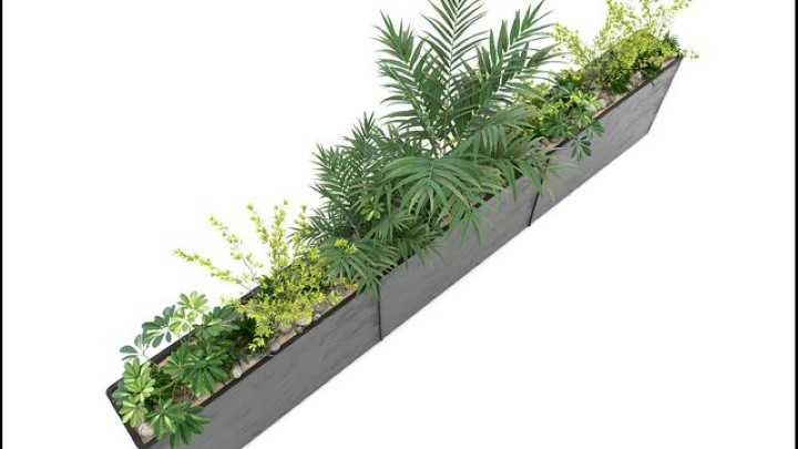 渲染模型_室内植物305