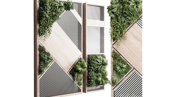 渲染模型_室内植物313