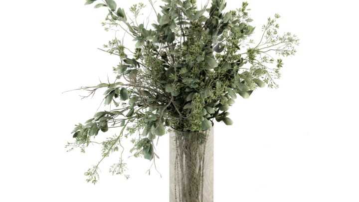 渲染模型_室内植物318