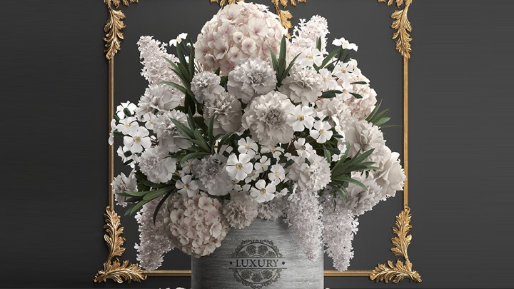 渲染模型_室内植物321