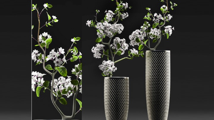 渲染模型_室内植物327