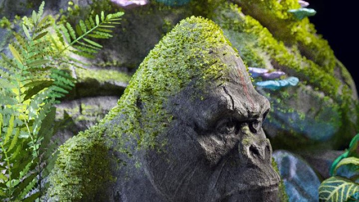 渲染模型_室外植物004