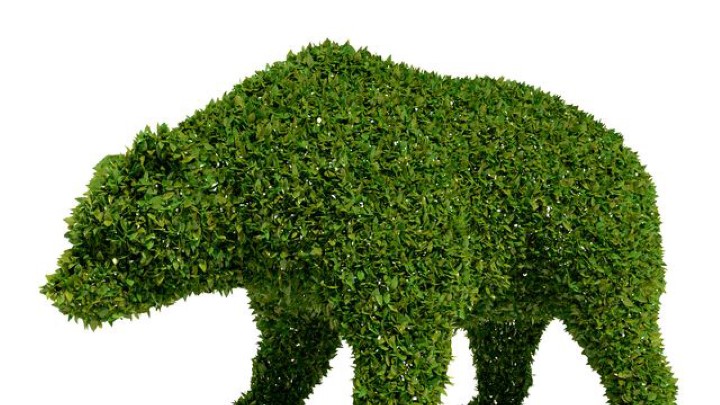 渲染模型_室外植物012