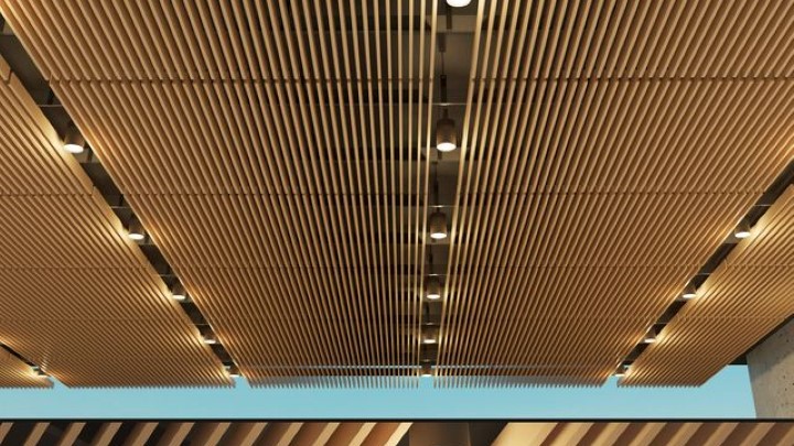 渲染模型_悬挂式天花板架001