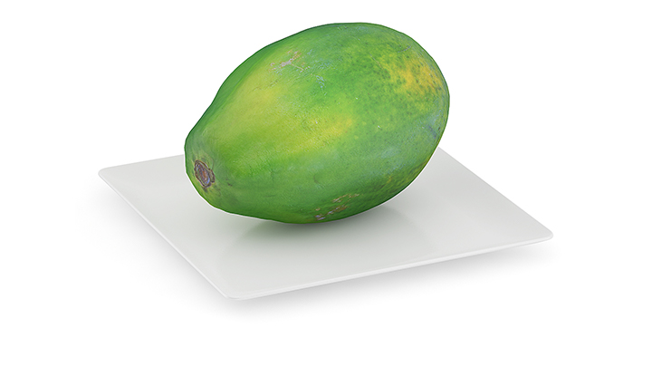 渲染模型_木瓜004