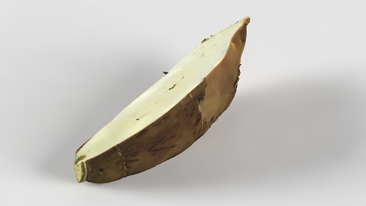 渲染模型_木薯001