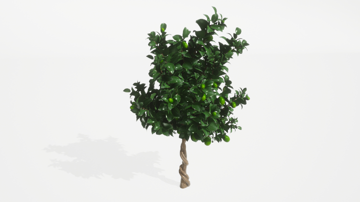 渲染模型_树1007