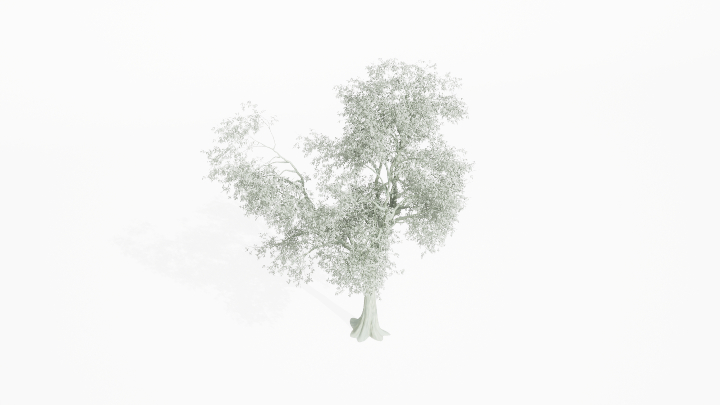 渲染模型_树1036