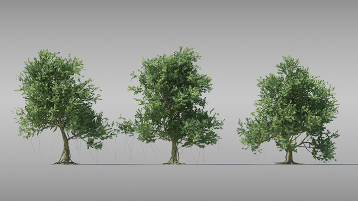 渲染模型_树965