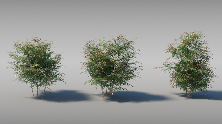 渲染模型_树977
