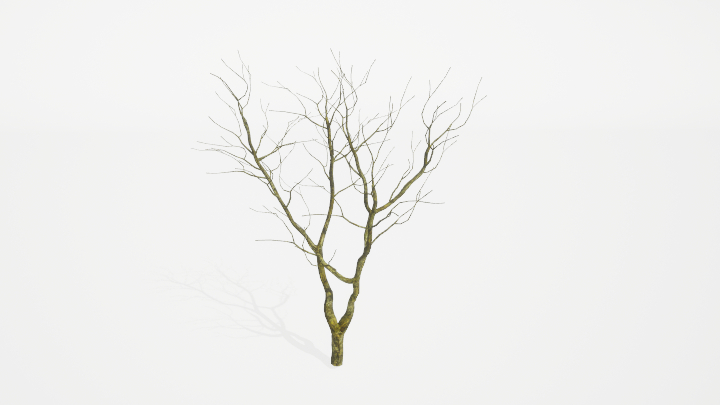 渲染模型_树干001