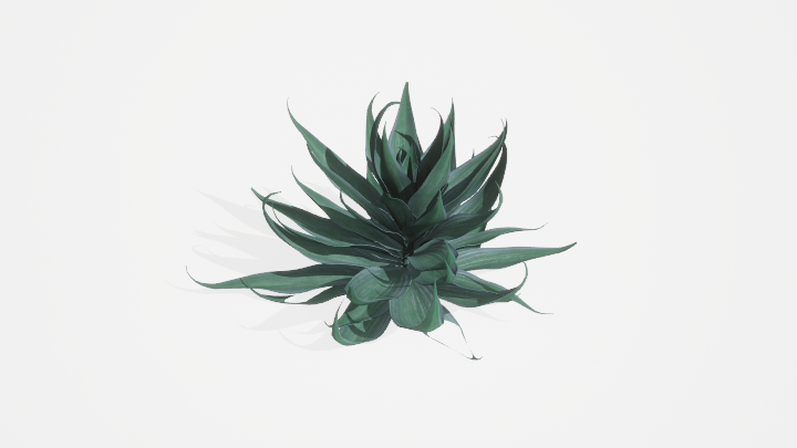 渲染模型_植物817