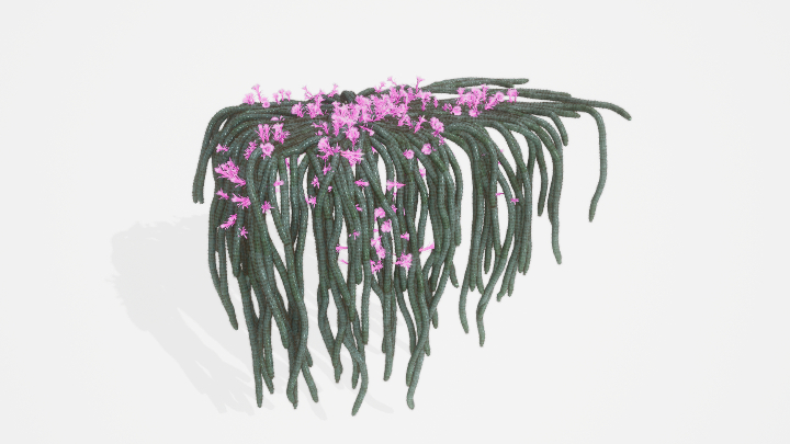 渲染模型_植物829