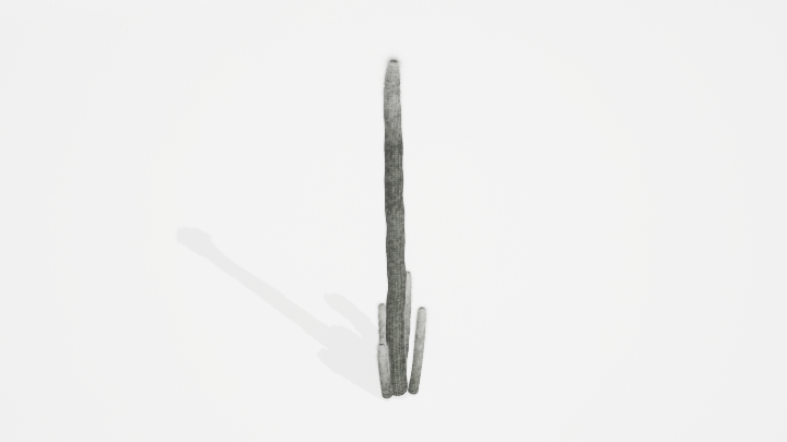 渲染模型_植物837