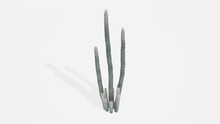 渲染模型_植物838