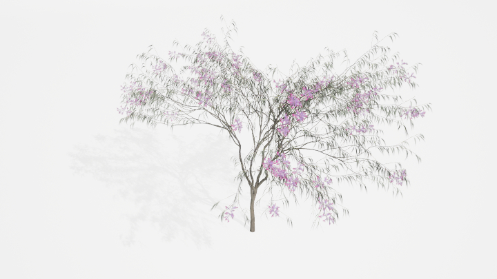 渲染模型_植物842