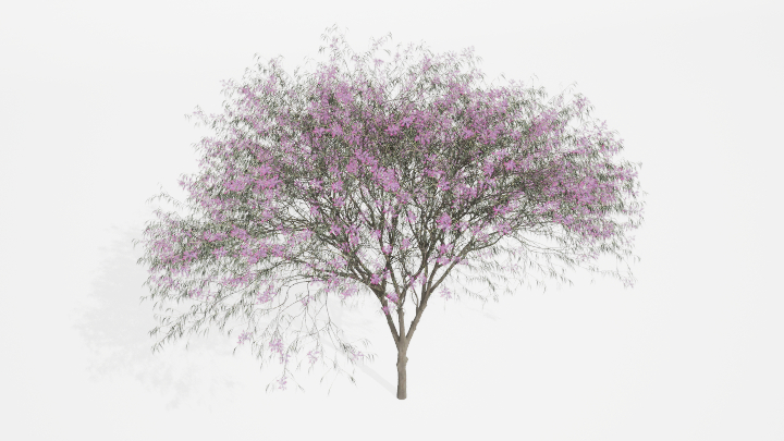 渲染模型_植物844