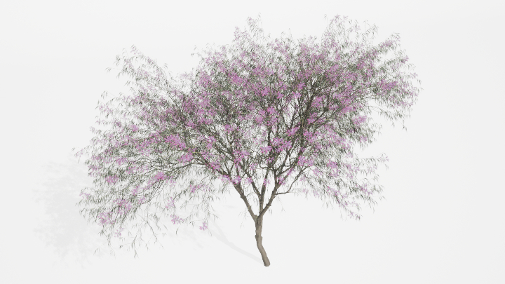 渲染模型_植物845