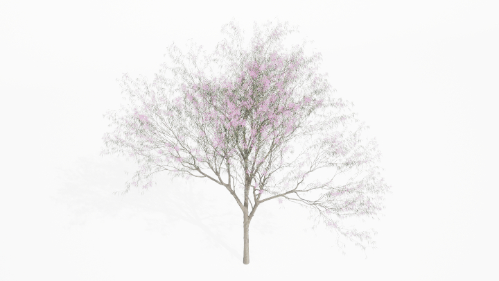 渲染模型_植物846