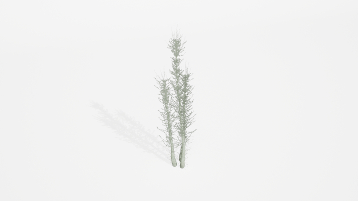 渲染模型_植物862