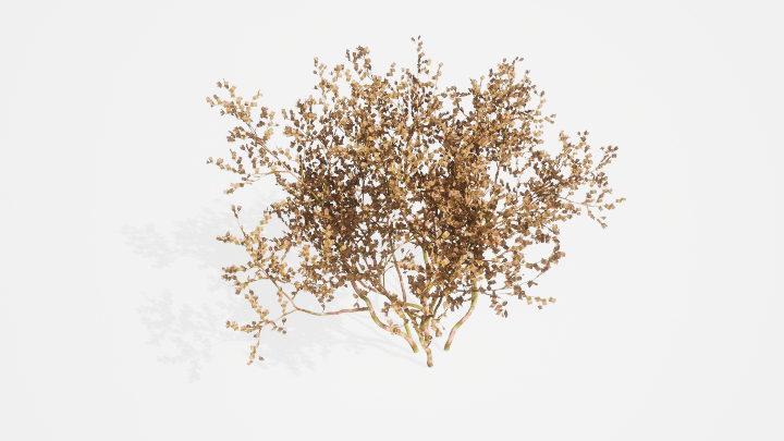 渲染模型_植物866