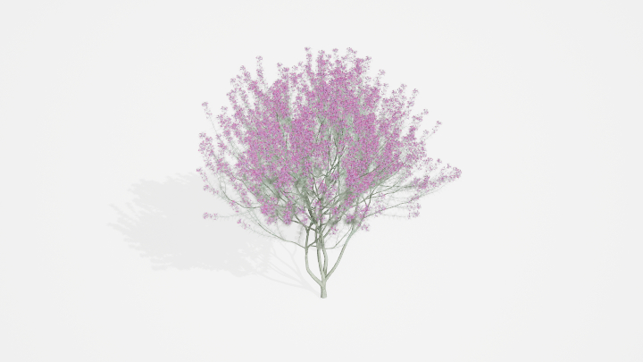 渲染模型_植物878