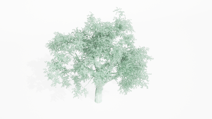 渲染模型_植物883