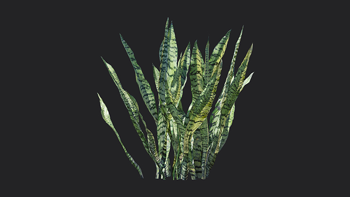 渲染模型_植物899