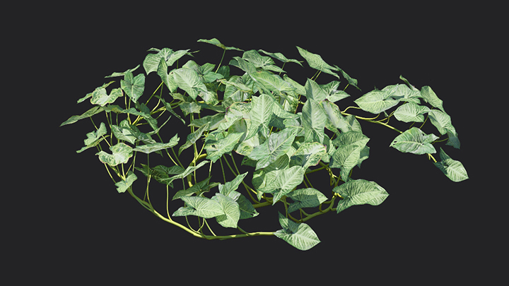 渲染模型_植物907