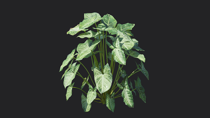 渲染模型_植物918