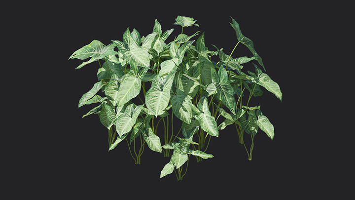 渲染模型_植物919