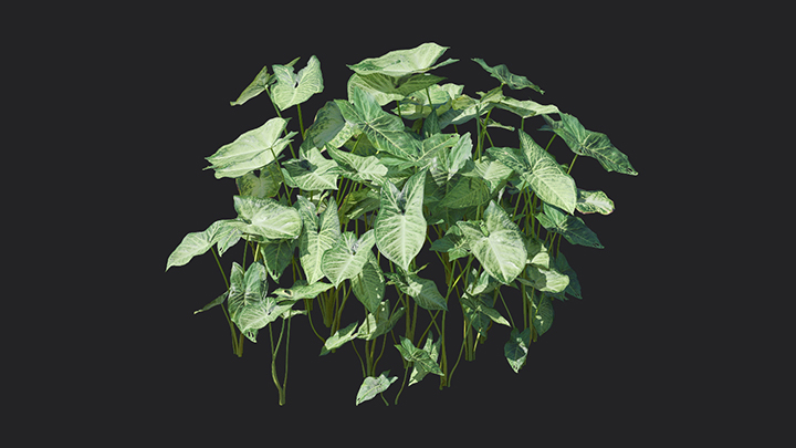 渲染模型_植物920