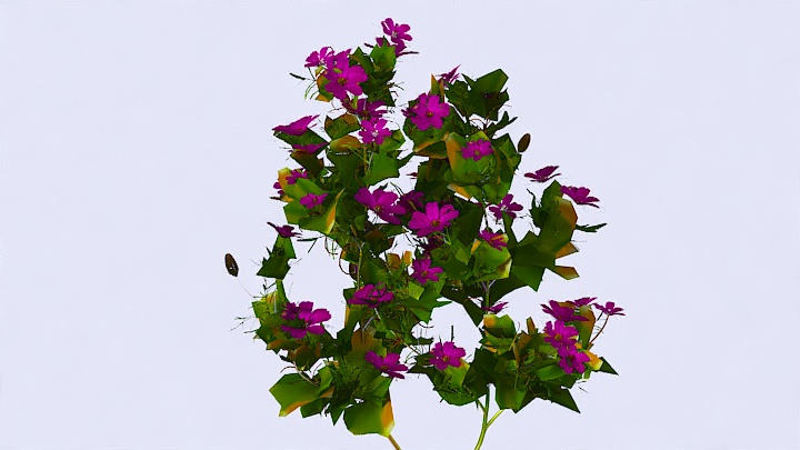 渲染模型_植物981